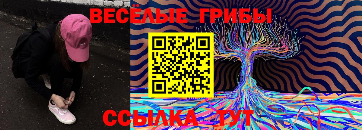Псилоцибиновые грибы GOLDEN TEACHER  Вход с VPN  магазин продажи наркотиков  Шарыпово  Псилоцибиновые грибы ЛСД 