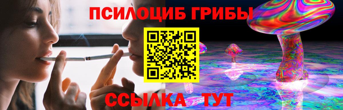 Псилоцибиновые грибы Cubensis Шарыпово